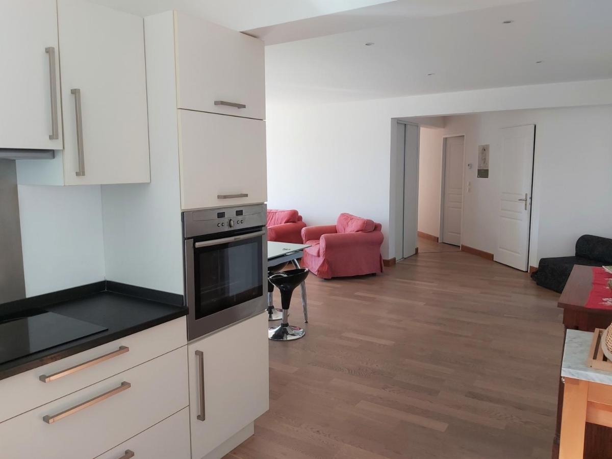 Appartement 3*** Avec Jardin Et Wifi A Proximite De Saint Jean De Luz - Fr-1-239-504 Ascain Kültér fotó